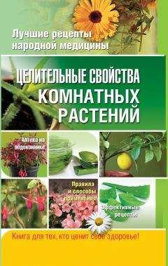 Елена Власенко - Целительные свойства комнатных растений - Читать | Читать онлайн | Читаемые книги читать онлайн бесплатно | booksread-online.com