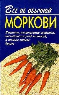 Иван Дубровин - Все об обычной моркови - Читать 📖 Читать онлайн 👀 Читаемые книги читать онлайн бесплатно 🔥 booksread-online.com