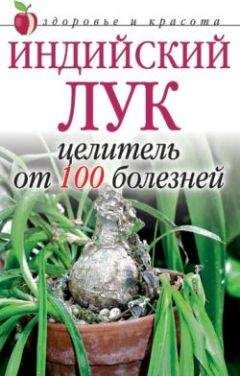 Анна Щеглова - Индийский лук - целитель от 100 болезней - Читать 📖 Читать онлайн 👀 Читаемые книги читать онлайн бесплатно 🔥 booksread-online.com