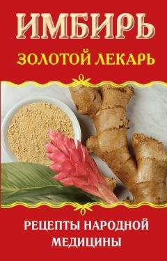 Наталья Ольшевская - Имбирь. Золотой лекарь. Рецепты народной медицины - Читать 📖 Читать онлайн 👀 Читаемые книги читать онлайн бесплатно 🔥 booksread-online.com