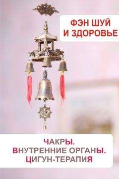 Илья Мельников - Фэн-шуй и здоровье. Чакры. Внутренние органы. Цигун-терапия - Читать 📖 Читать онлайн 👀 Читаемые книги читать онлайн бесплатно 🔥 booksread-online.com