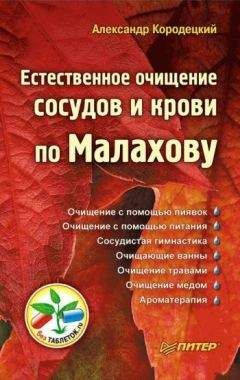 Александр Кородецкий - Естественное очищение сосудов и крови по Малахову - Читать 📖 Читать онлайн 👀 Читаемые книги читать онлайн бесплатно 🔥 booksread-online.com