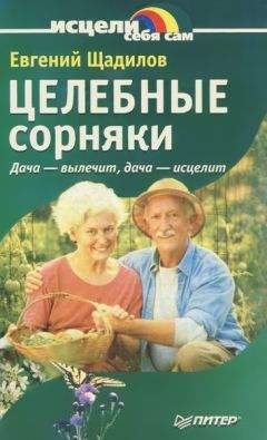 Евгений Щадилов - Целебные сорняки. Дача — вылечит, дача — исцелит - Читать | Читать онлайн | Читаемые книги читать онлайн бесплатно | booksread-online.com