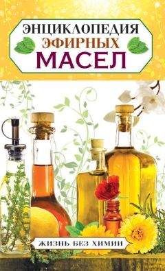 Елена Туманова - Энциклопедия эфирных масел - Читать 📖 Читать онлайн 👀 Читаемые книги читать онлайн бесплатно 🔥 booksread-online.com