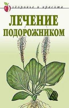 Екатерина Андреева - Лечение подорожником - Читать 📖 Читать онлайн 👀 Читаемые книги читать онлайн бесплатно 🔥 booksread-online.com