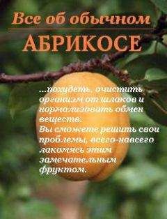 Иван Дубровин - Все об обычном абрикосе - Читать 📖 Читать онлайн 👀 Читаемые книги читать онлайн бесплатно 🔥 booksread-online.com