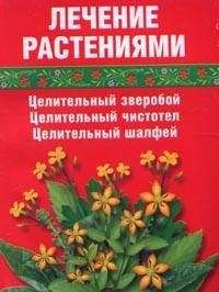 Сания Салихова - Лечение травами (зверобой, чистотел, шалфей) - Читать | Читать онлайн | Читаемые книги читать онлайн бесплатно | booksread-online.com