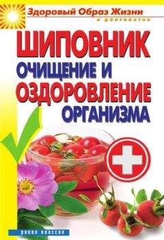 Виктор Зайцев - Шиповник. Очищение и оздоровление организма - Читать 📖 Читать онлайн 👀 Читаемые книги читать онлайн бесплатно 🔥 booksread-online.com