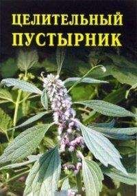 Иван Дубровин - Целительный пустырник - Читать 📖 Читать онлайн 👀 Читаемые книги читать онлайн бесплатно 🔥 booksread-online.com
