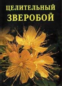 Иван Дубровин - Целительный зверобой - Читать 📖 Читать онлайн 👀 Читаемые книги читать онлайн бесплатно 🔥 booksread-online.com