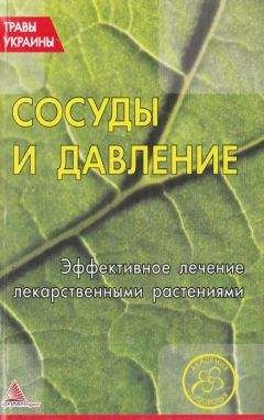 О. Кунаева (сост.) - Сосуды и давление. Эффективное лечение лекарственными траиами - Читать 📖 Читать онлайн 👀 Читаемые книги читать онлайн бесплатно 🔥 booksread-online.com