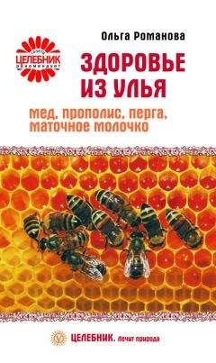 Ольга Романова - Здоровье из улья. Мед, прополис, перга, маточное молочко - Читать 📖 Читать онлайн 👀 Читаемые книги читать онлайн бесплатно 🔥 booksread-online.com