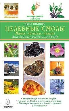 Дарья Нилова - Целебные смолы: мумие, прополис, янтарь - Читать | Читать онлайн | Читаемые книги читать онлайн бесплатно | booksread-online.com