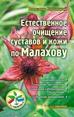 Александр Кородецкий - Естественное очищение суставов и кожи по Малахову - Читать 📖 Читать онлайн 👀 Читаемые книги читать онлайн бесплатно 🔥 booksread-online.com