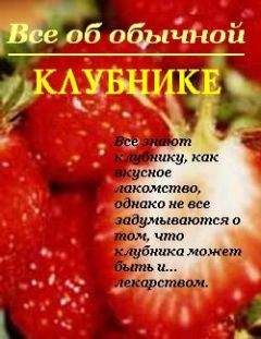 Иван Дубровин - Все об обычной клубнике - Читать 📖 Читать онлайн 👀 Читаемые книги читать онлайн бесплатно 🔥 booksread-online.com