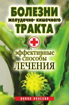 Юлия Бебнева - Болезни желудочно-кишечного тракта. Эффективные способы лечения - Читать | Читать онлайн | Читаемые книги читать онлайн бесплатно | booksread-online.com