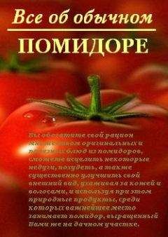 Иван Дубровин - Все об обычном помидоре - Читать 📖 Читать онлайн 👀 Читаемые книги читать онлайн бесплатно 🔥 booksread-online.com
