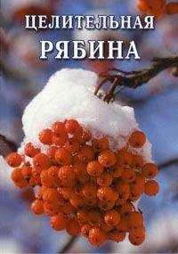 Иван Дубровин - Целительная рябина - Читать 📖 Читать онлайн 👀 Читаемые книги читать онлайн бесплатно 🔥 booksread-online.com