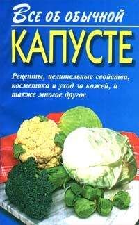 Иван Дубровин - Все об обычной капусте - Читать 📖 Читать онлайн 👀 Читаемые книги читать онлайн бесплатно 🔥 booksread-online.com