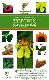 Нина Башкирцева - Зверобой – болезням бой - Читать 📖 Читать онлайн 👀 Читаемые книги читать онлайн бесплатно 🔥 booksread-online.com