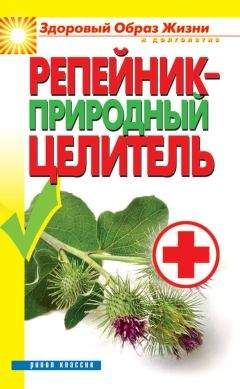 Светлана Филатова - Репейник – природный целитель - Читать 📖 Читать онлайн 👀 Читаемые книги читать онлайн бесплатно 🔥 booksread-online.com