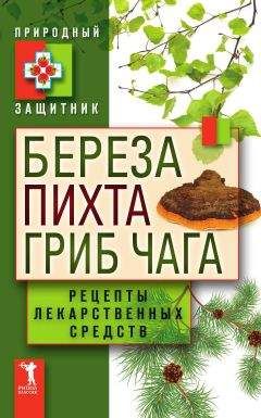 Ю. Николаева - Береза, пихта и гриб чага. Рецепты лекарственных средств - Читать 📖 Читать онлайн 👀 Читаемые книги читать онлайн бесплатно 🔥 booksread-online.com
