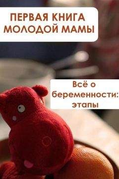 Илья Мельников - Всё о беременности: этапы - Читать 📖 Читать онлайн 👀 Читаемые книги читать онлайн бесплатно 🔥 booksread-online.com