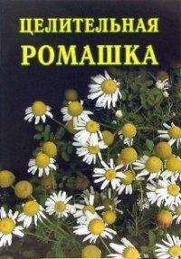Иван Дубровин - Целительная ромашка - Читать 📖 Читать онлайн 👀 Читаемые книги читать онлайн бесплатно 🔥 booksread-online.com