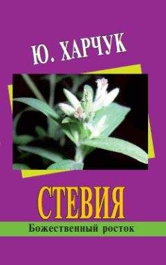 Юрий Харчук - Стевия – божественный росток - Читать 📖 Читать онлайн 👀 Читаемые книги читать онлайн бесплатно 🔥 booksread-online.com