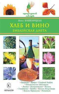 Нина Башкирцева - Хлеб и вино. Библейская диета - Читать 📖 Читать онлайн 👀 Читаемые книги читать онлайн бесплатно 🔥 booksread-online.com