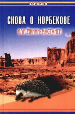 Борис Медведев - Снова о Норбекове, или Ёжики-мустанги - Читать 📖 Читать онлайн 👀 Читаемые книги читать онлайн бесплатно 🔥 booksread-online.com