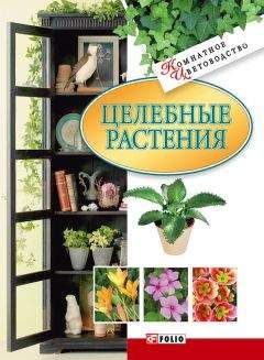Татьяна Дорошенко - Целебные растения - Читать 📖 Читать онлайн 👀 Читаемые книги читать онлайн бесплатно 🔥 booksread-online.com