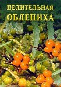 Иван Дубровин - Целительная облепиха - Читать 📖 Читать онлайн 👀 Читаемые книги читать онлайн бесплатно 🔥 booksread-online.com