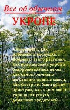 Иван Дубровин - Все об обычном укропе - Читать 📖 Читать онлайн 👀 Читаемые книги читать онлайн бесплатно 🔥 booksread-online.com