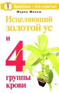 Мария Милаш - Исцеляющий Золотой ус и 4 группы крови - Читать | Читать онлайн | Читаемые книги читать онлайн бесплатно | booksread-online.com