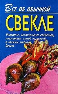 Иван Дубровин - Все об обычной свекле - Читать 📖 Читать онлайн 👀 Читаемые книги читать онлайн бесплатно 🔥 booksread-online.com