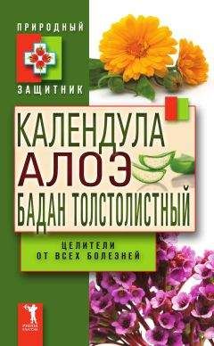 Ю. Николаева - Календула, алоэ и бадан толстолистный — целители от всех болезней - Читать | Читать онлайн | Читаемые книги читать онлайн бесплатно | booksread-online.com