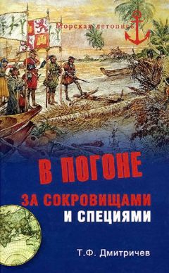 Тимур Дмитричев - В погоне за сокровищами и специями - Читать 📖 Читать онлайн 👀 Читаемые книги читать онлайн бесплатно 🔥 booksread-online.com