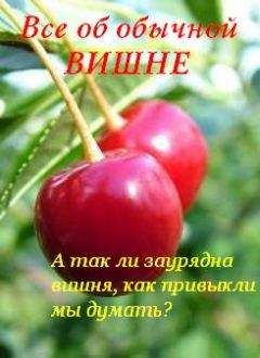 Иван Дубровин - Все об обычной вишне - Читать 📖 Читать онлайн 👀 Читаемые книги читать онлайн бесплатно 🔥 booksread-online.com