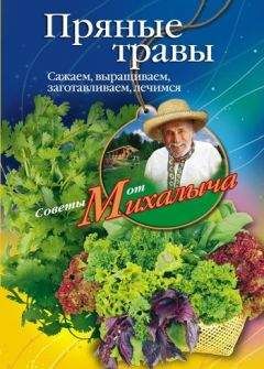 Николай Звонарев - Пряные травы. Сажаем, выращиваем, заготавливаем, лечимся - Читать | Читать онлайн | Читаемые книги читать онлайн бесплатно | booksread-online.com