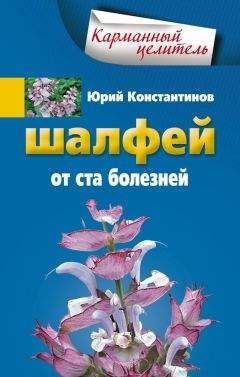 Юрий Константинов - Шалфей от 100 болезней - Читать 📖 Читать онлайн 👀 Читаемые книги читать онлайн бесплатно 🔥 booksread-online.com
