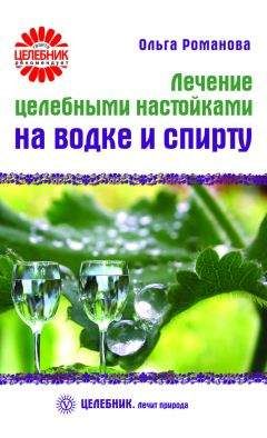 Ольга Романова - Лечение целебными настойками на водке и спирту - Читать 📖 Читать онлайн 👀 Читаемые книги читать онлайн бесплатно 🔥 booksread-online.com