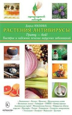 Дарья Нилова - Растения-антивирусы. Гриппу – бой! Быстрое и надежное лечение вирусных заболеваний - Читать 📖 Читать онлайн 👀 Читаемые книги читать онлайн бесплатно 🔥 booksread-online.com
