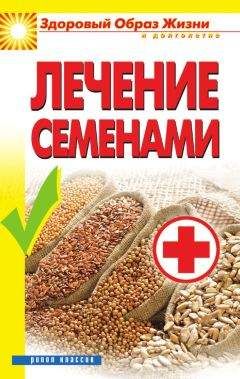 Алла Алебастрова - Лечение семенами - Читать 📖 Читать онлайн 👀 Читаемые книги читать онлайн бесплатно 🔥 booksread-online.com