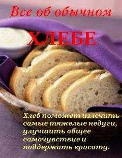 Иван Дубровин - Все об обычном хлебе - Читать 📖 Читать онлайн 👀 Читаемые книги читать онлайн бесплатно 🔥 booksread-online.com