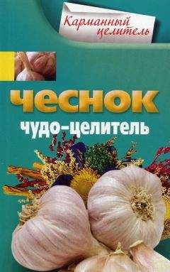 Анна Мудрова (сост.) - Чеснок. Чудо-целитель - Читать 📖 Читать онлайн 👀 Читаемые книги читать онлайн бесплатно 🔥 booksread-online.com