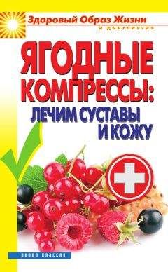 Вера Куликова - Ягодные компрессы: лечим суставы и кожу - Читать 📖 Читать онлайн 👀 Читаемые книги читать онлайн бесплатно 🔥 booksread-online.com