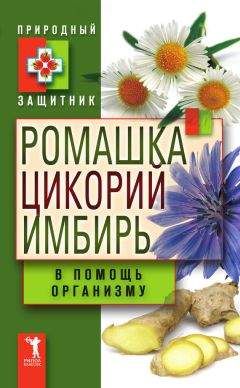 Юлия Николаева - Ромашка, цикорий, имбирь в помощь организму - Читать 📖 Читать онлайн 👀 Читаемые книги читать онлайн бесплатно 🔥 booksread-online.com