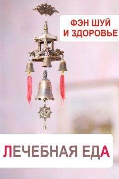 Илья Мельников - Фэн-шуй и здоровье. Лечебная еда - Читать 📖 Читать онлайн 👀 Читаемые книги читать онлайн бесплатно 🔥 booksread-online.com
