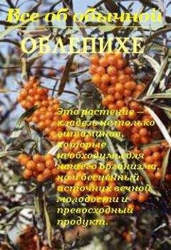 Иван Дубровин - Все об обычной облепихе - Читать 📖 Читать онлайн 👀 Читаемые книги читать онлайн бесплатно 🔥 booksread-online.com